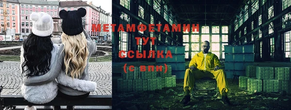индика Белокуриха