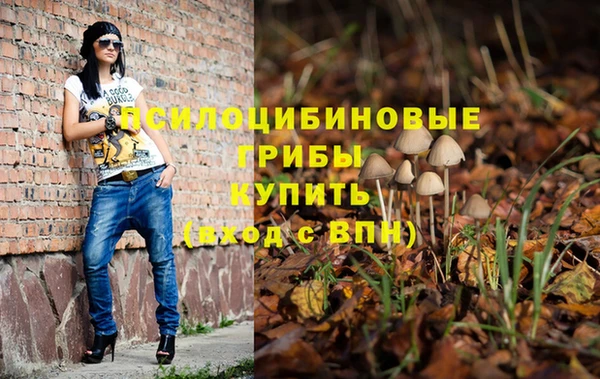 крисы Беломорск