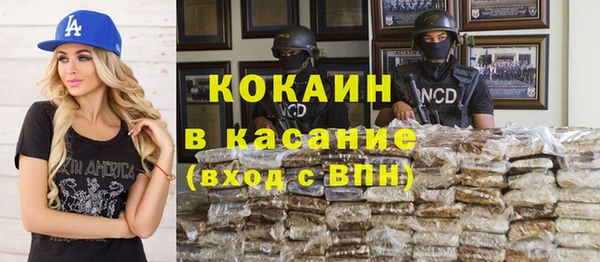 индика Белокуриха