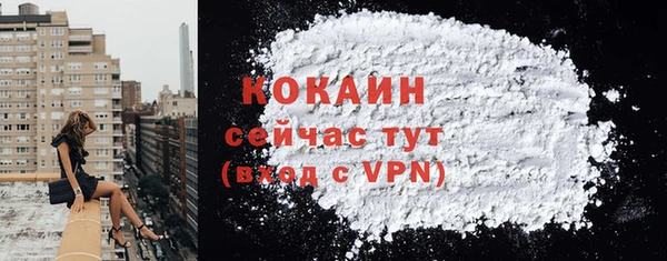 индика Белокуриха
