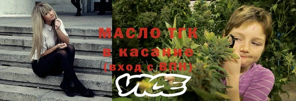 индика Белокуриха