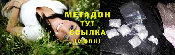 индика Белокуриха