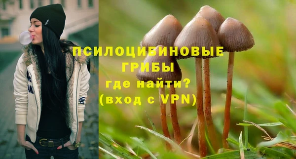 дурь Белоозёрский
