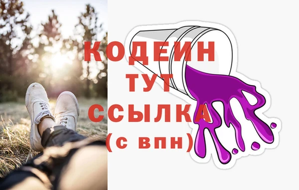 индика Белокуриха