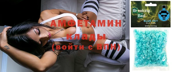 индика Белокуриха