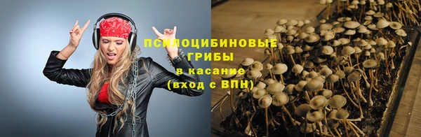 крисы Беломорск