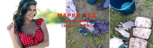 крисы Беломорск