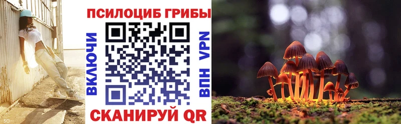 Псилоцибиновые грибы Psilocybine cubensis  Купить закладки  Верхотурье 